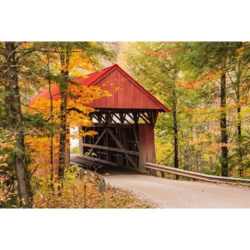 Jones, Allison 아티스트의 USA-Vermont-Stowe-Sterling Valley Road covered bridge in fall foliage작품입니다.